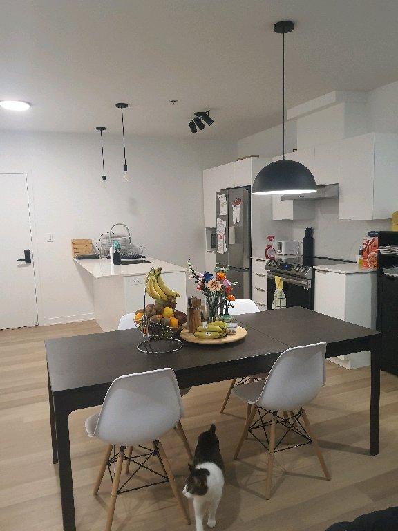 3 1/2 Repentigny CESSATION DE BAIL | 3221020