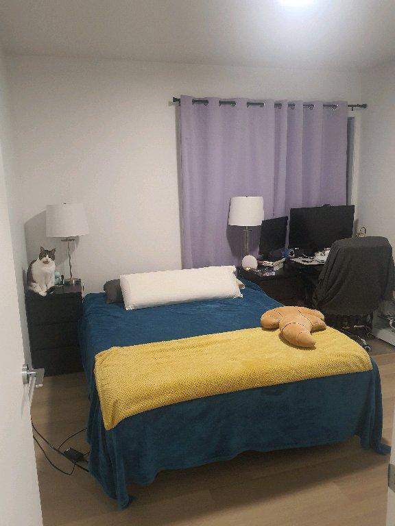 3 1/2 Repentigny CESSATION DE BAIL | 3221020