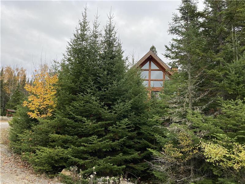 Chalet Belle Cordélia - SPA and AIR conditioning | 3221087