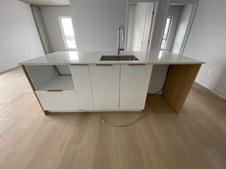 3 CH - 2 SDB - Montreal - $2,575 /mo | 3221116