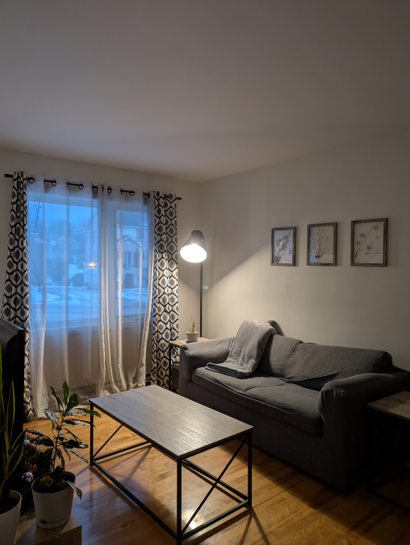 Grand 4 1/2 à Louer | 3221263