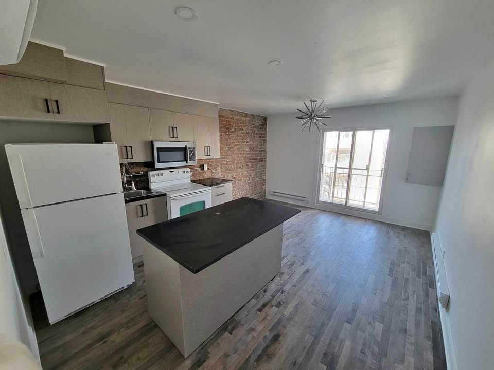 Hochelaga - Beau 3 1/2 Rénové | 3221266