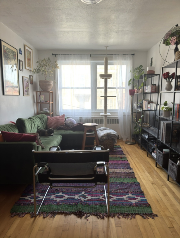 3 1/2 En Face Du Parc Baldwin | 3221285