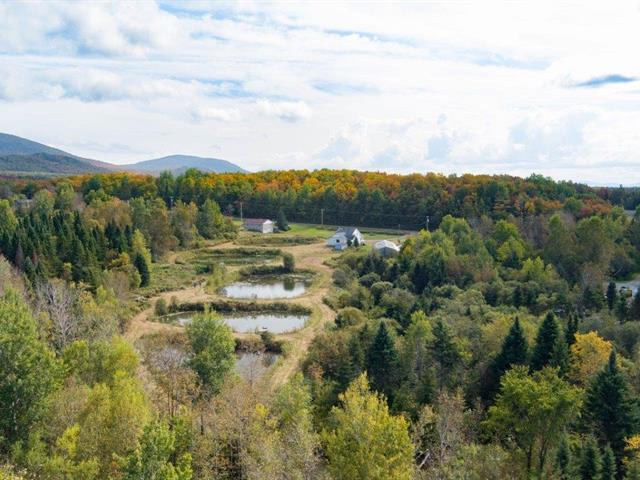 La Patrie (Estrie) : Domaine de 111 acres, 6 étangs de pêche, terre à bois, hangar et maison de 4 chambres | 3221338