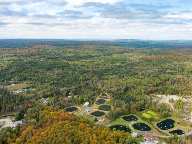 La Patrie (Estrie) : Domaine de 111 acres, 6 étangs de pêche, terre à bois, hangar et maison de 4 chambres | 3221338