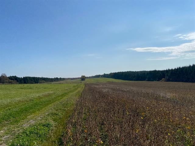 Terre 155 acres en culture avec petite érablière 1033 entailles sur tubulures, salle de pompage, chalet, bâtiments de ferme et + | 3221460