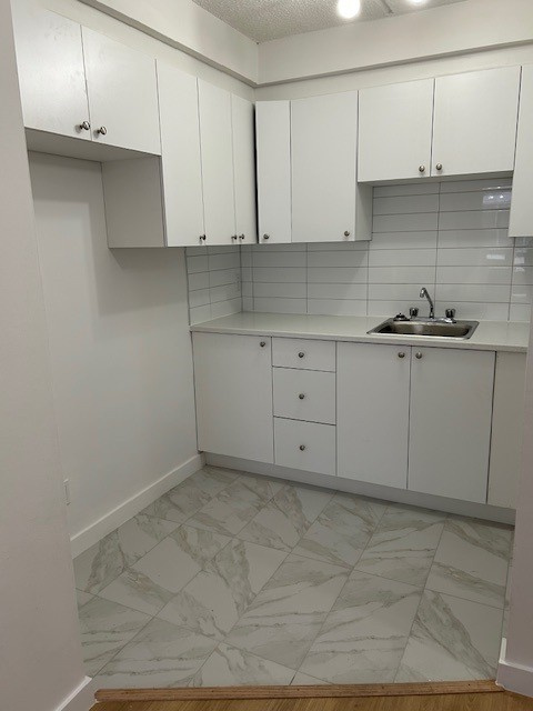 Beau 3 1/2 Rénové | 3221723