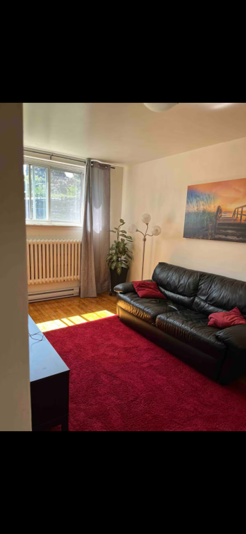 Location Pour Un Mois Et Plus: 1400$ | 3221752