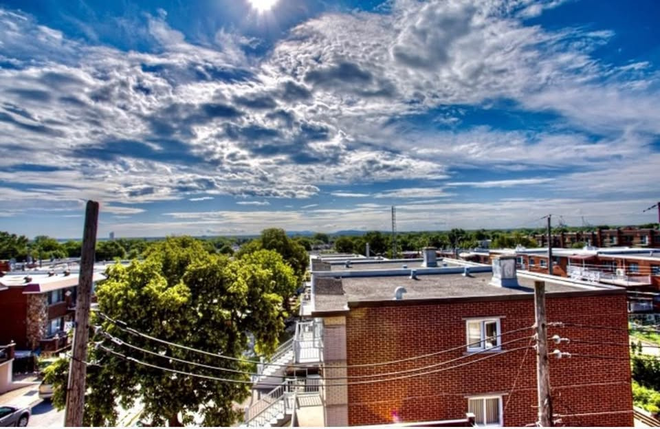 Condos Locatifs 2021 3 ½ à Louer | 3221800