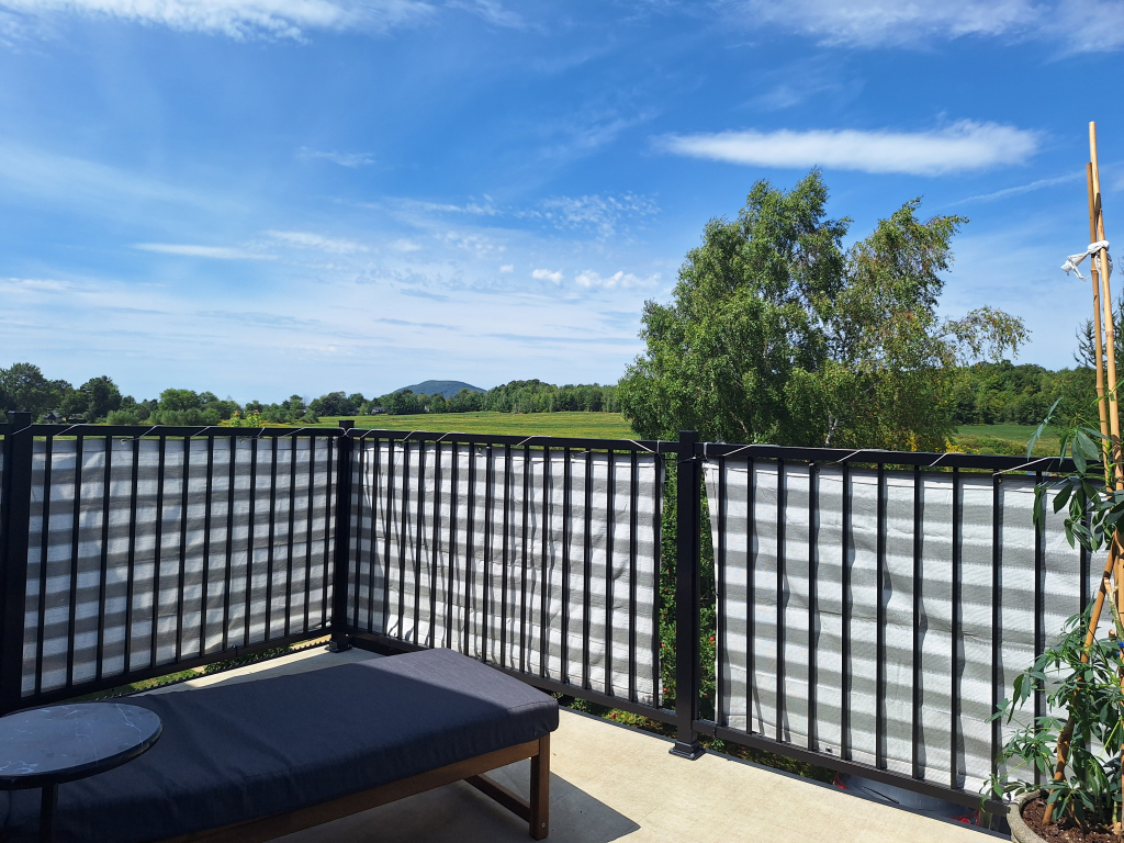 Grand 4.5 A Louer Waterloo | 3221817