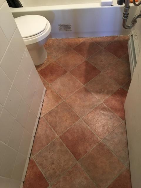 RUE MYRAND, A 2 PAS UNIVERSITÉ LAVAL | 3230821