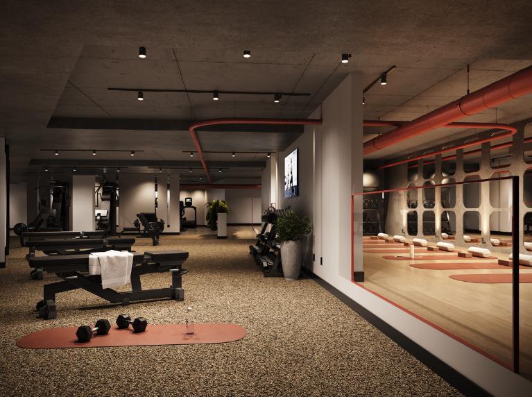 NOUVEAUX 3 1/2 TOUT INCLUS À LOUER DANS HOCHELAGA (Canoë) | 3222007