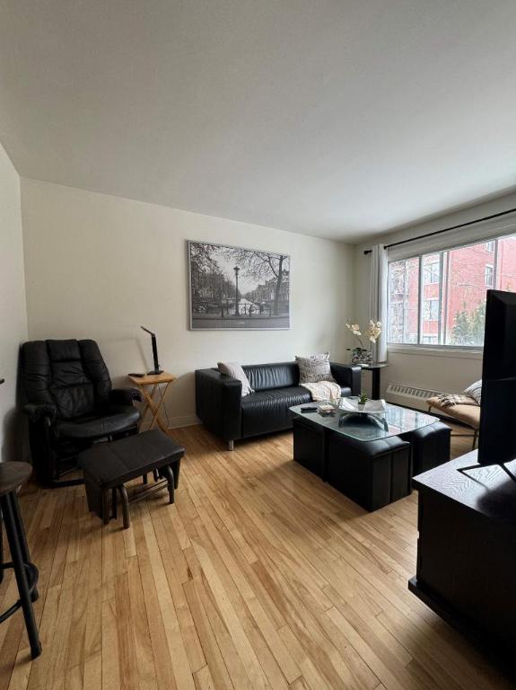 Beau 5 1/2 | 3222065