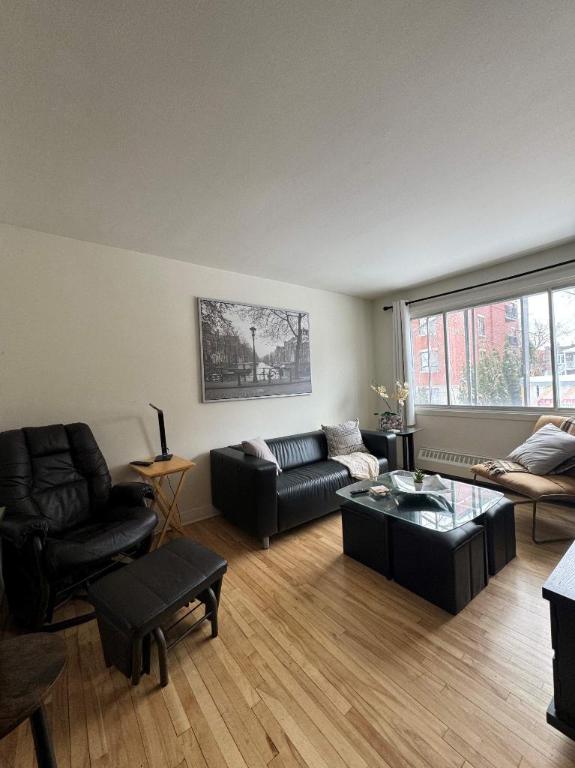 Beau 5 1/2 | 3222065