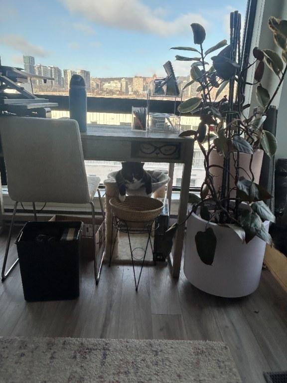 Luxurious 2 bed 2 bath - full amenities, all utilities (Griffintown) | 3222081