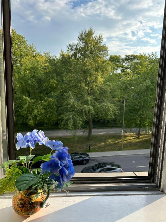 $3,200 Condo 2 CAC à louer/2 BR for rent-Côte-des-Neiges | 3222082