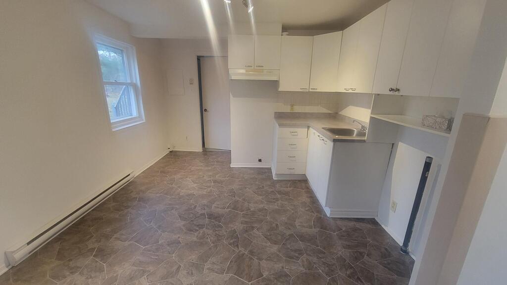 Logement 3 ½ A Sainte-Agathe-Des-Monts. | 3222190