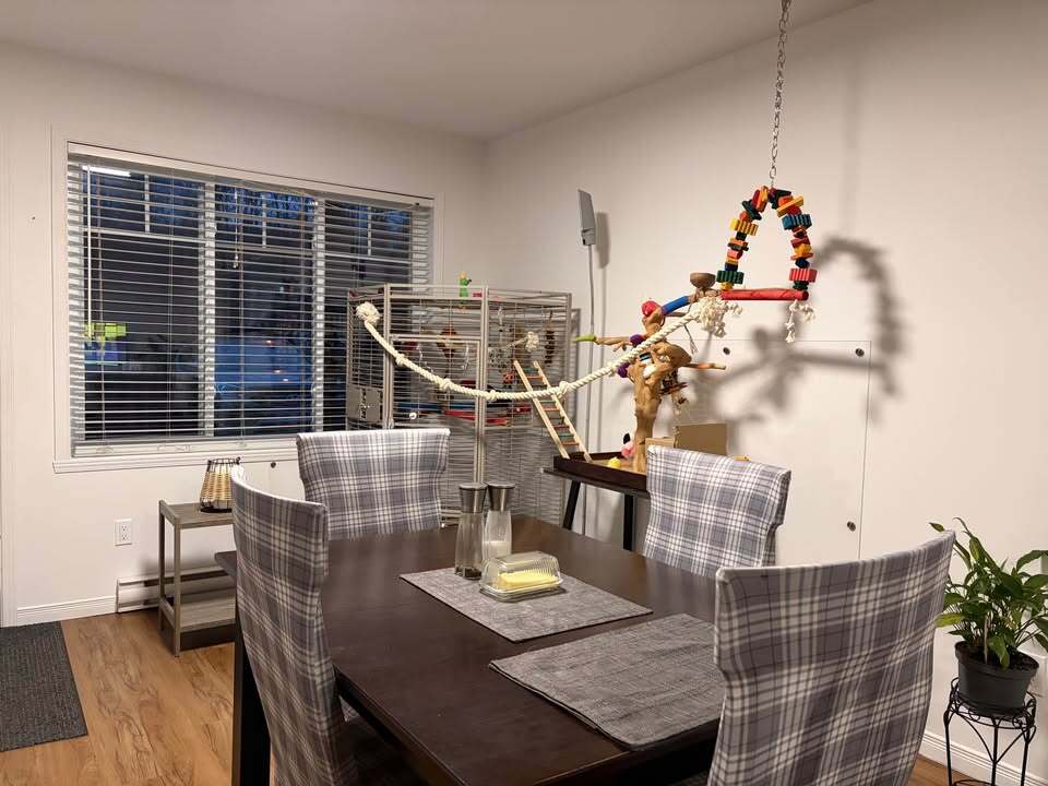 41/2 De Style Condo | 3222673