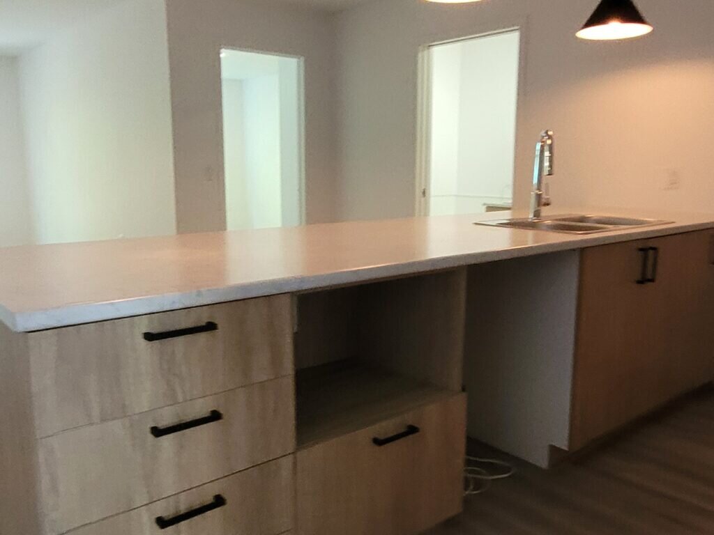 303-1162 Rue Papineau | 3222942