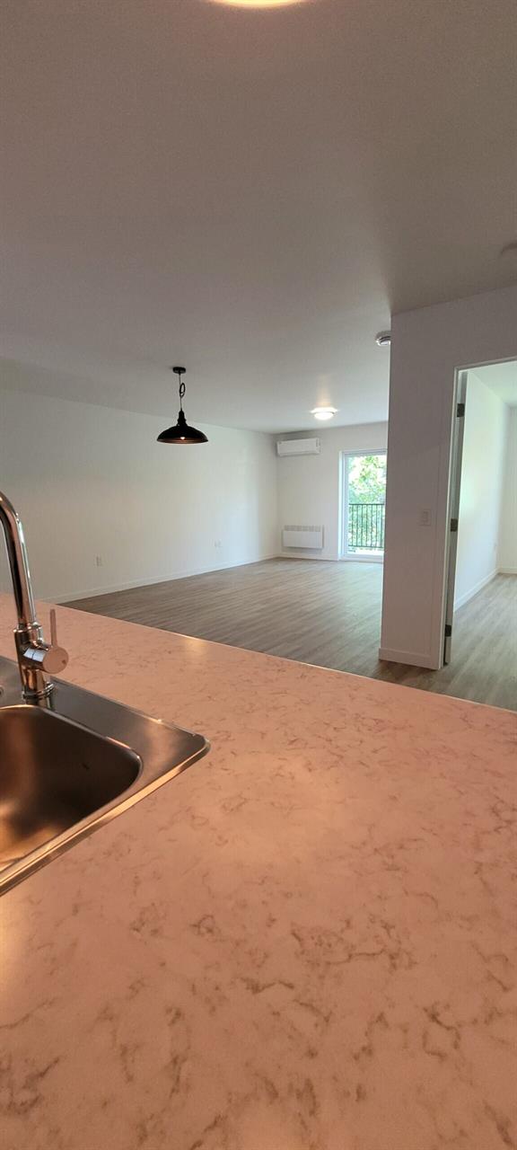 303-1162 Rue Papineau | 3222942