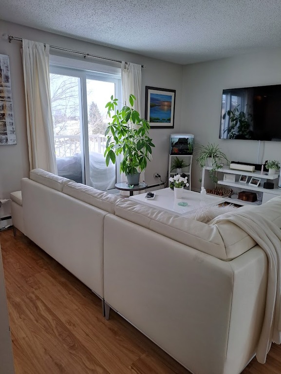 BEAU GRAND 2 Chambres JUIN OU JUILLET | 3223016