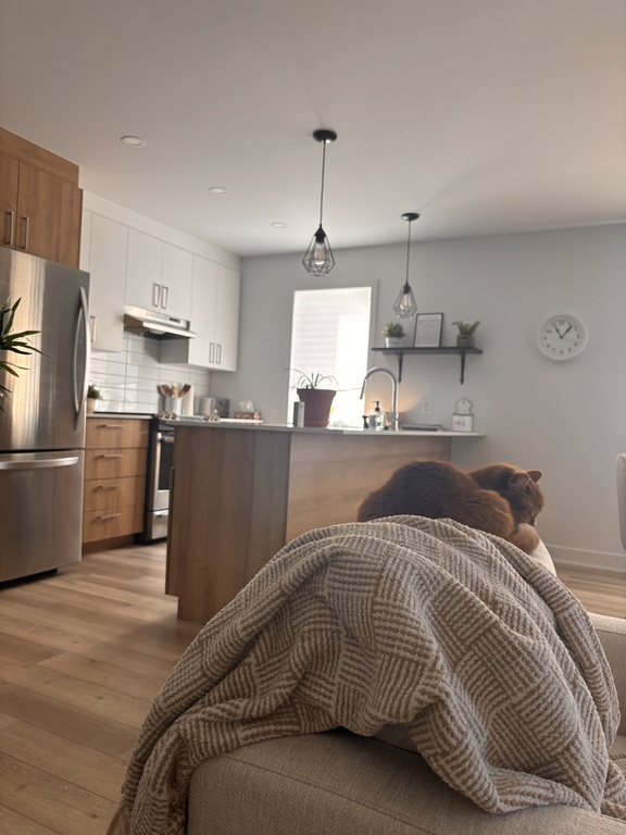 Beau Grand 4 1/2 à Louer | 3223030