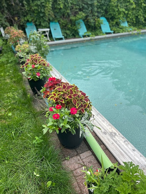 Appart De Luxe 2 Chambres | 3223070