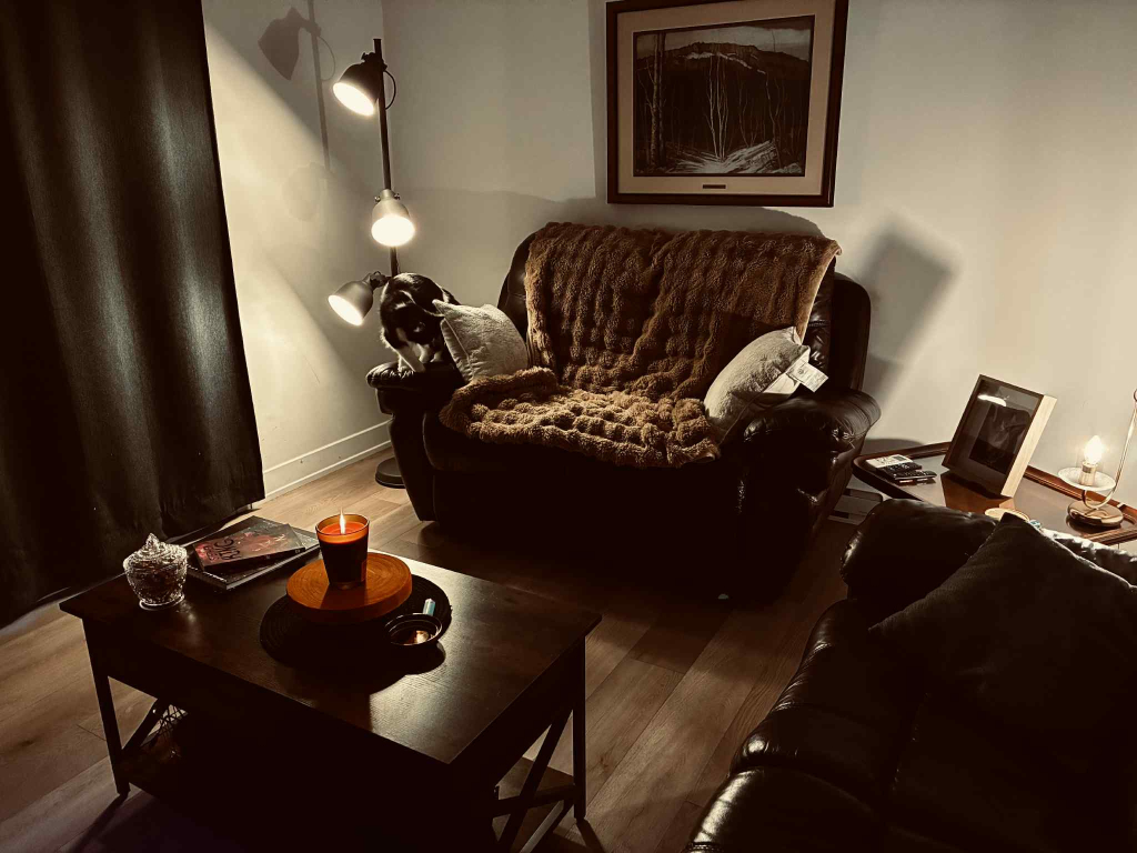 Appartement 4 1/2 à Louer | 3223190