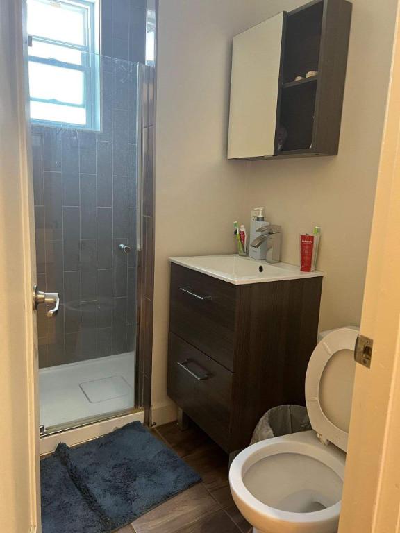 Studio - Montréal - $900 /mo | 3223214