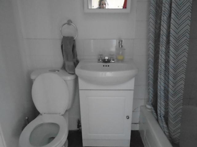 3 ½ rue Dézéry Montréal ( Hochelaga Maisonneuve) Pour avril | 3223232