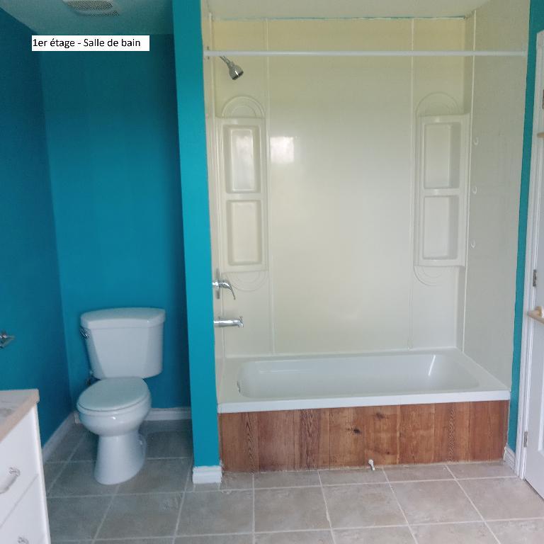 Jolie maison de campagne avec sous-sol à louer | 3223241