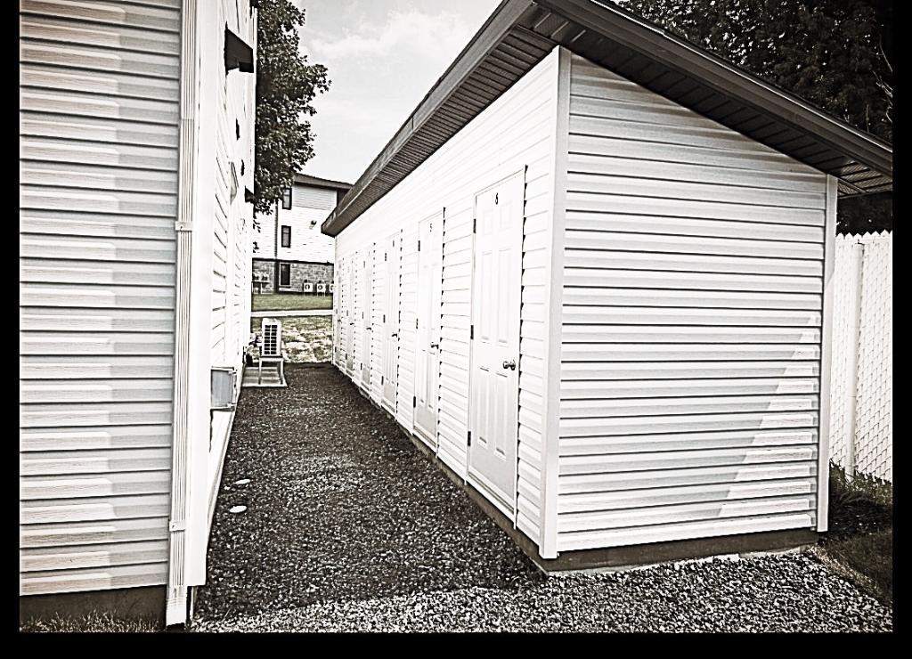 4 1/2 à louer pour 1er juillet 2026 | 3223243