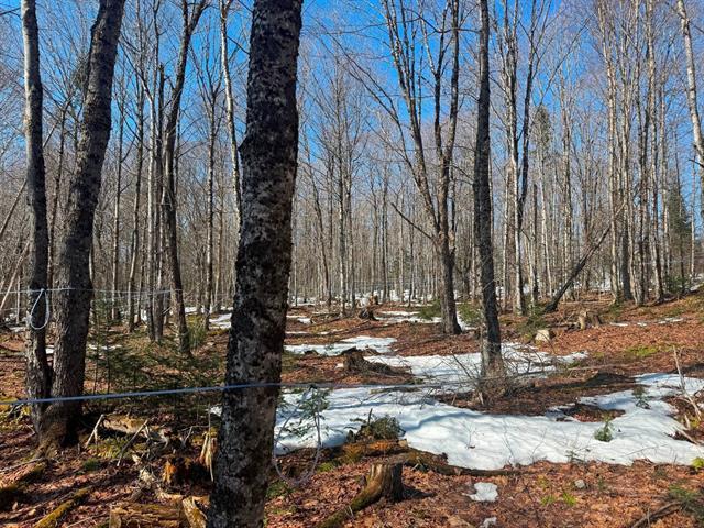 Milan, Estrie. Superbe terre à bois de 55 acres majoritairement en érables. Belle cabane à sucre 2017 de 16′ x 20′. Droit de construction. | 3226503