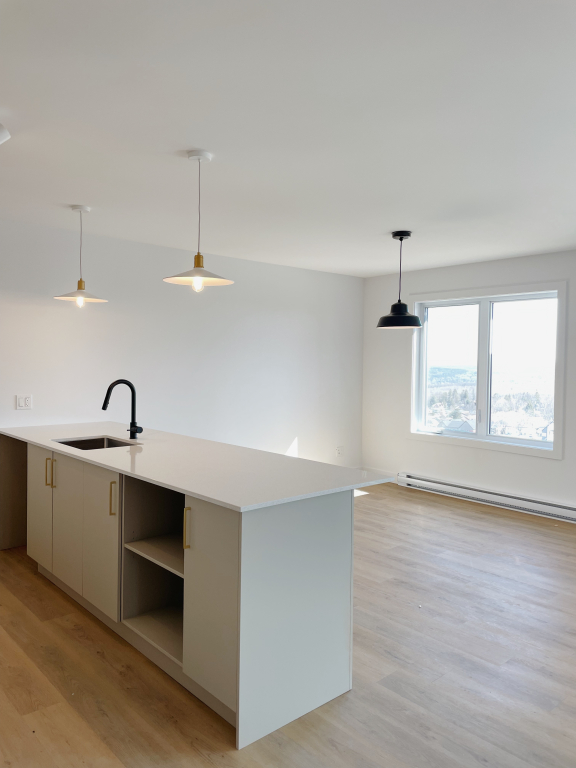 4.5 NEUF - DISPONIBLE MAINTENANT | 3223676