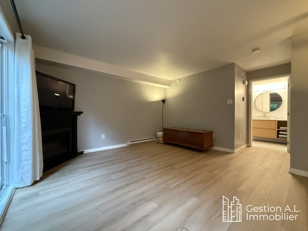 APPARTEMENT 1 CHAMBRE, SECTEUR PLATEAU | 3224160