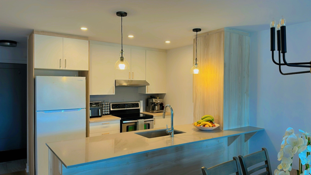 4 1/2 Neuf à Louer à VALLEYFIELD | 3224292