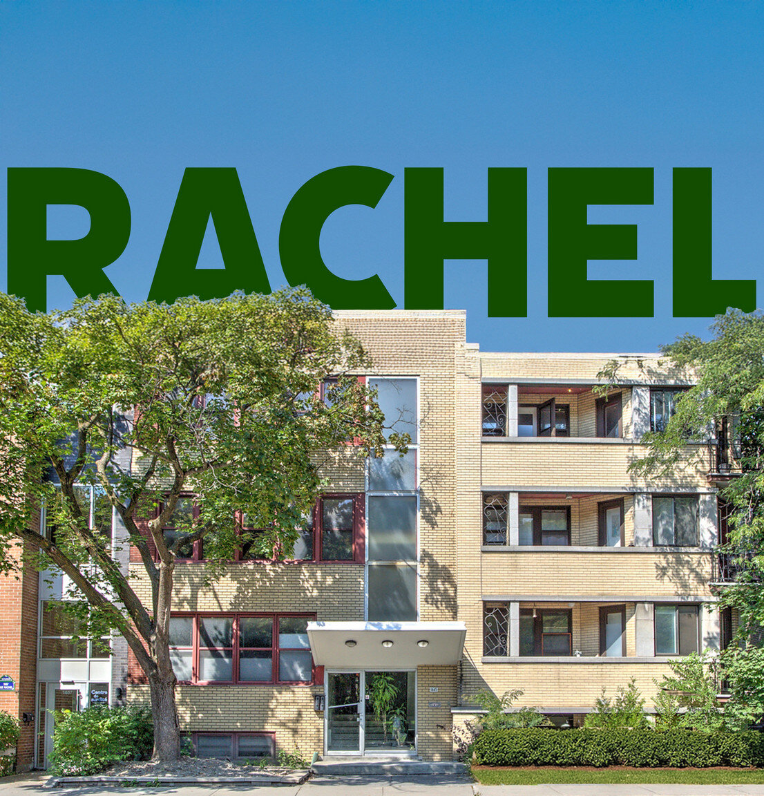 2 Bedroom Junior - 1683 Rue Rachel Est, Montréal | 3224353