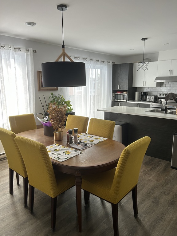 Magnifique 4.5 éclairé | 3224379