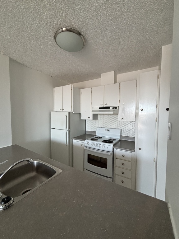 Magnifique Appartement 3 1/2 | 3224446