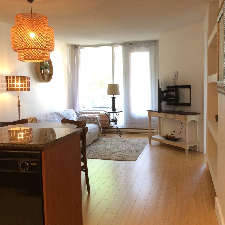 Condo 3 1/2 Meublé,éclairé à Louer | 3224459