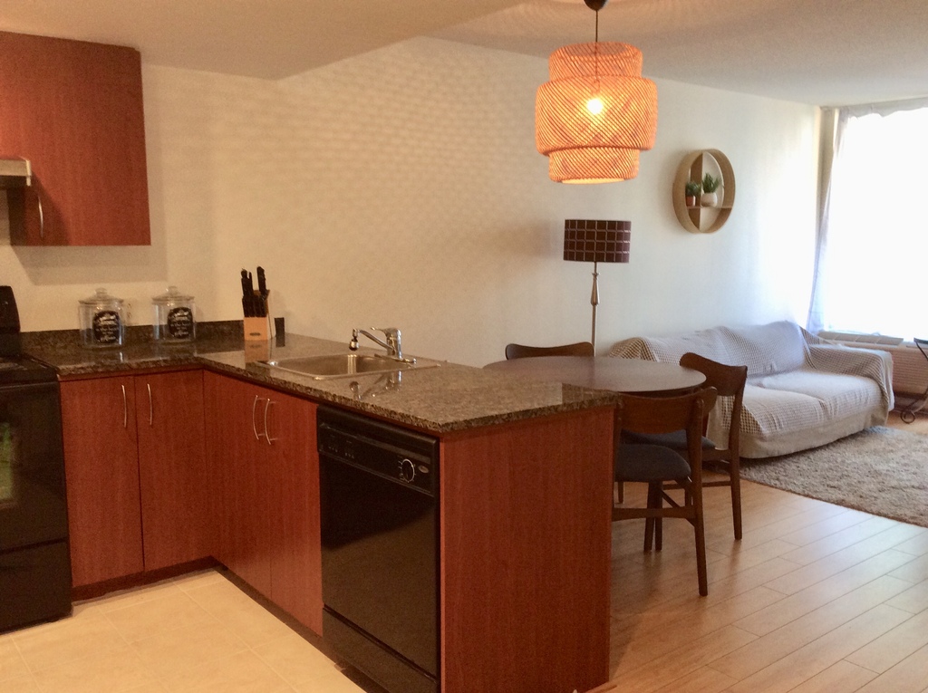 Condo 3 1/2 Meublé,éclairé à Louer | 3224459