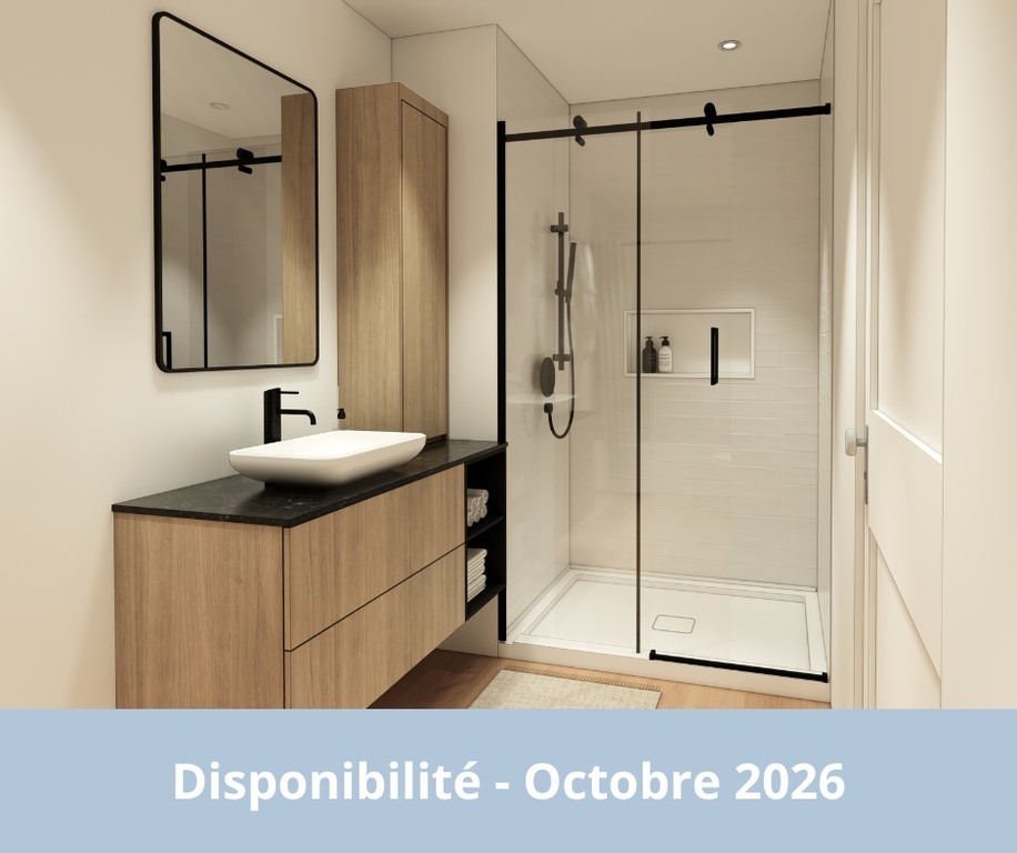 3 1/2 Neuf - Octobre 2026 | 3224491