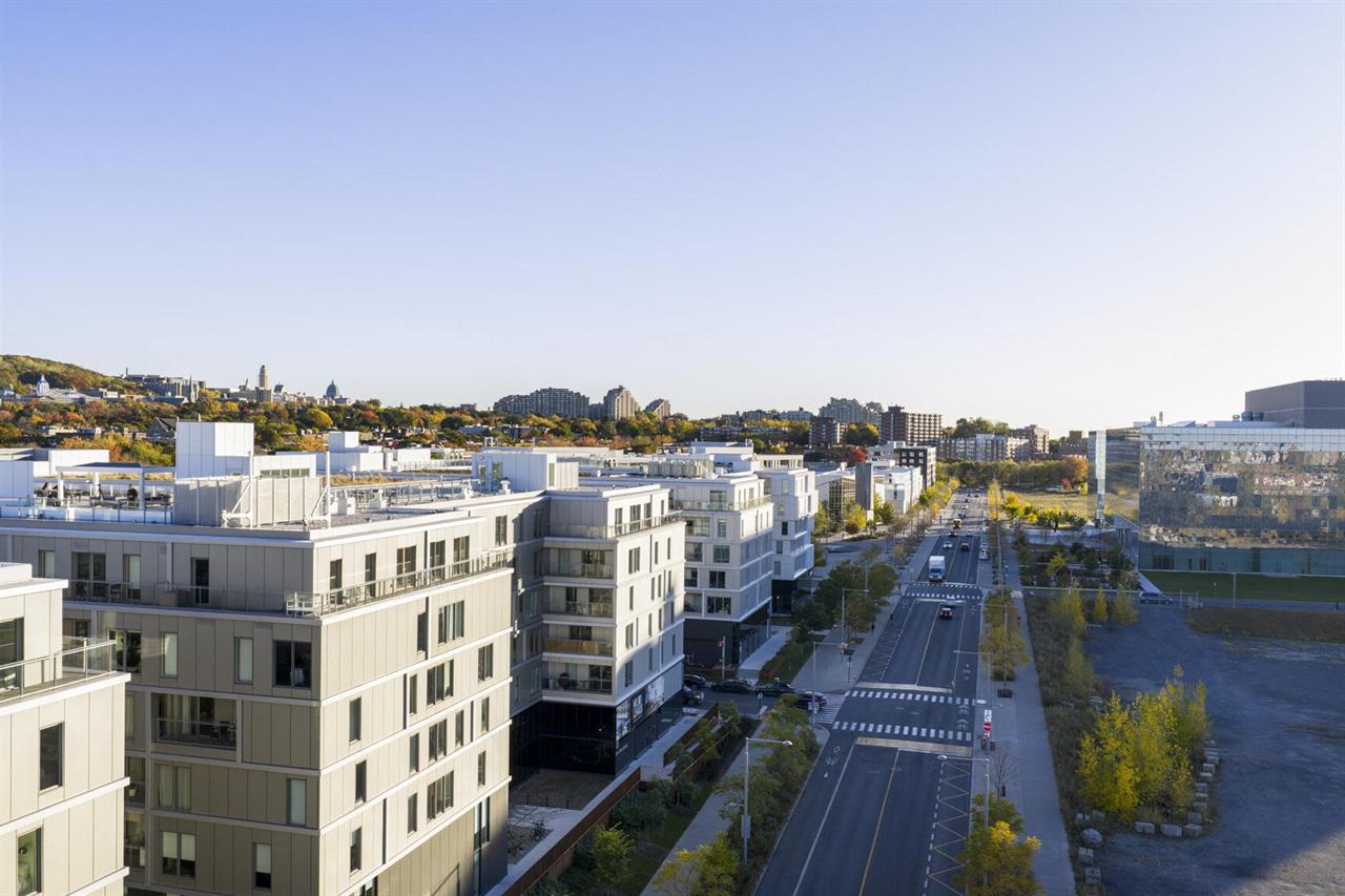 Studio - 1250 Avenue Thérèse-Lavoie-Roux, Outremont | 3224930