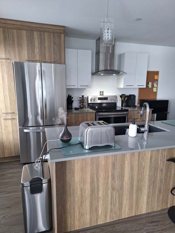 Superbe 4 1/2 1 Avril | 3225286