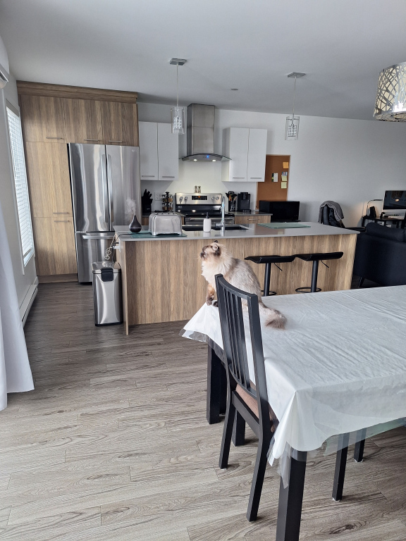 Superbe 4 1/2 1 Avril | 3225286