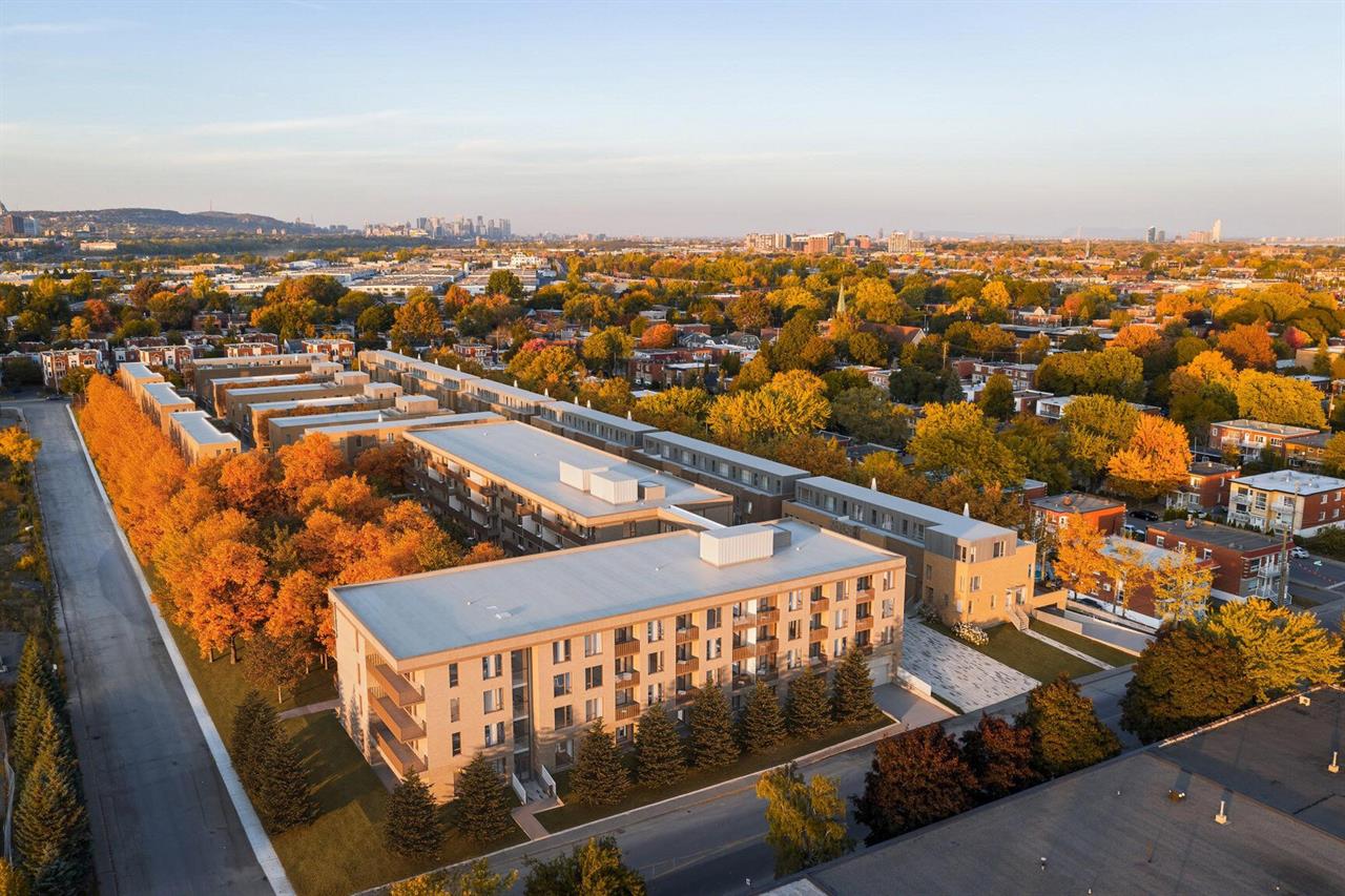 1-bedroom - 305 Rue Quilan, Montréal | 3225378