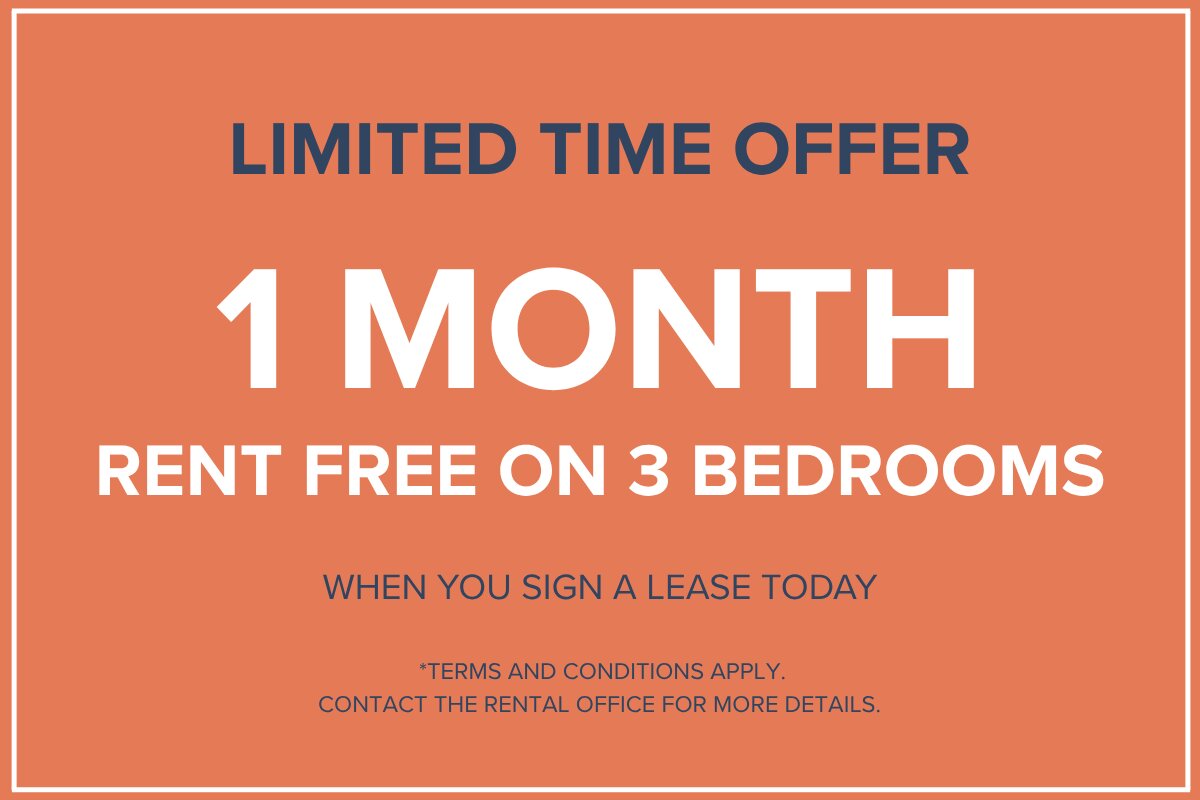 Bachelor Available At 1255 Rue Saint-Dominique, Montreal - 1255 Rue Saint-Dominique, Montréal | 3225585