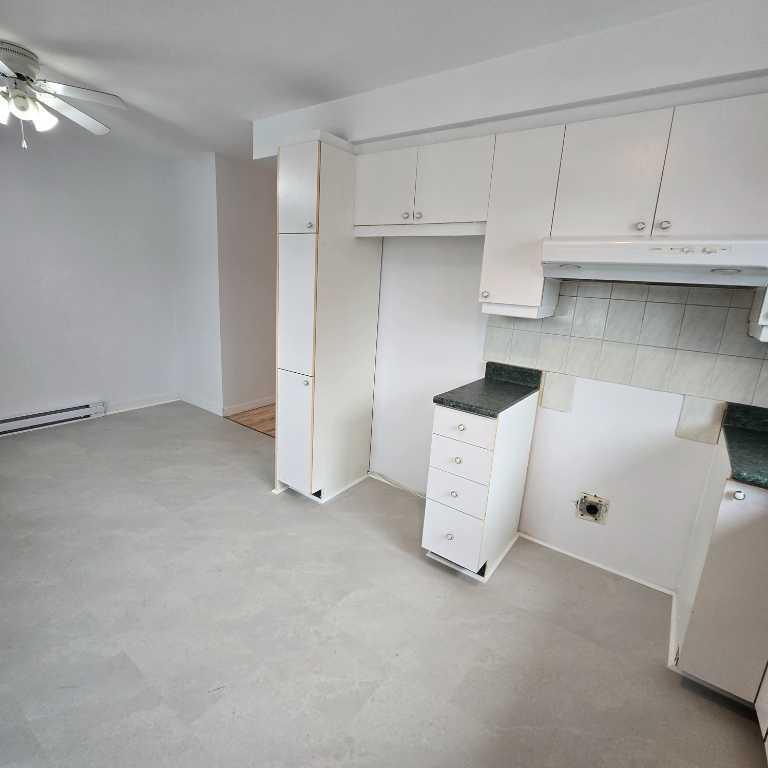 4 1/2 Retraités/Semi-Retraités | 3225718