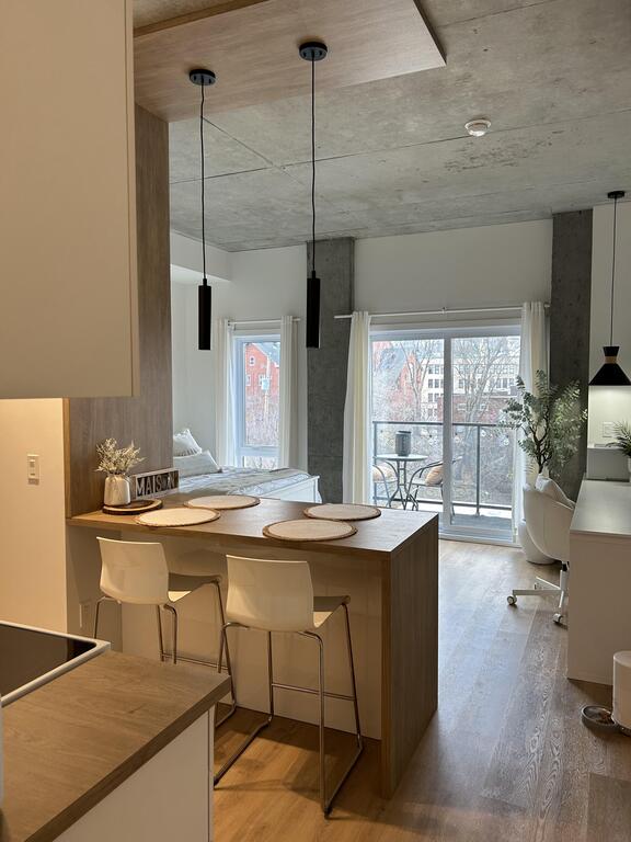 Studio Neuf Semi-meublé Ou Tout Meublé | 3225765