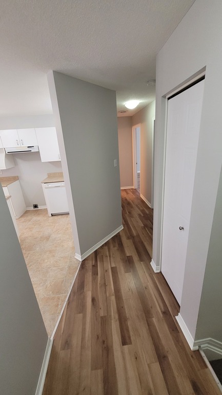 Grand 4 1/2 Sans Voisin Arrière | 3225778